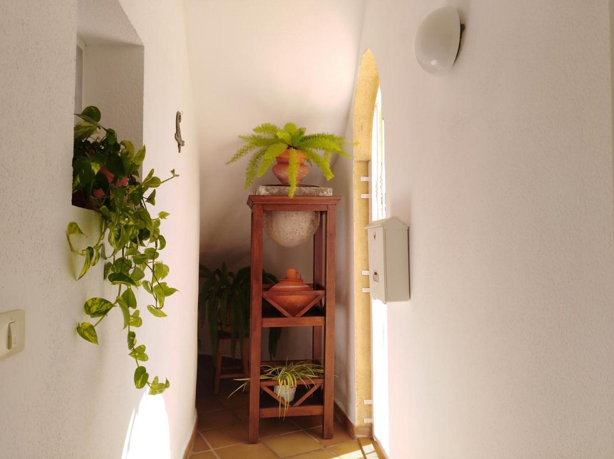 Apto. Pina De Mar Costa Adeje  Exterior photo